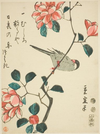 Sparrow on camellia branch