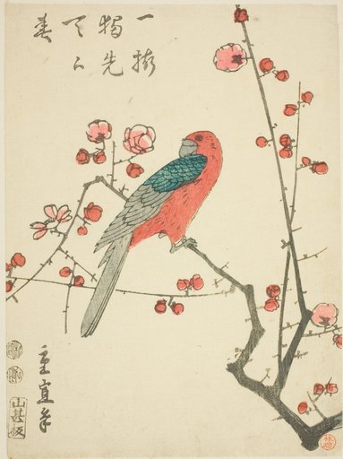 Parrot on plum branch