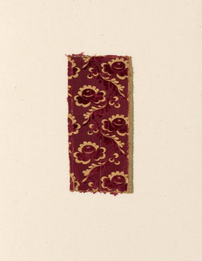 Fragment