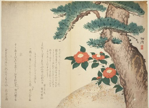 A Pine Tree and Camellias