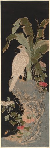 The White Falcon