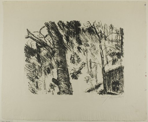 Beech Woods, from Early Spring in the Mountains