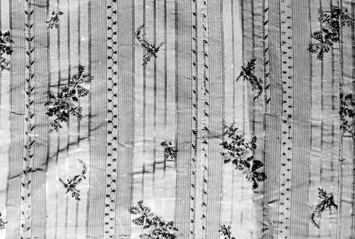 Panel