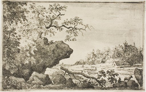 Branch of a tree