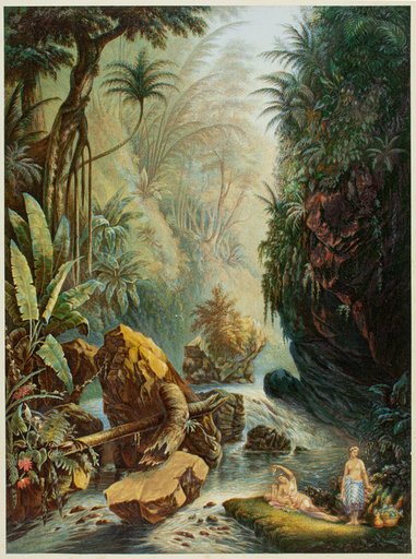 The Mountain Stream