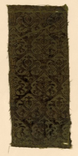 Fragment