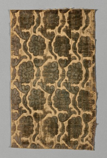 Fragment