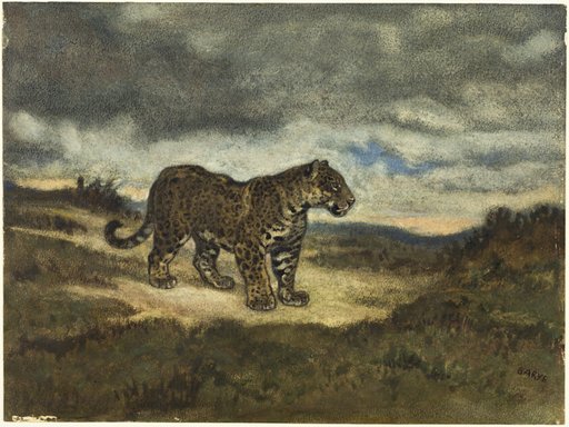 Jaguar Standing