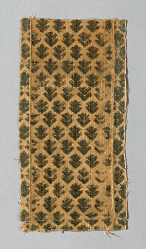 Fragment
