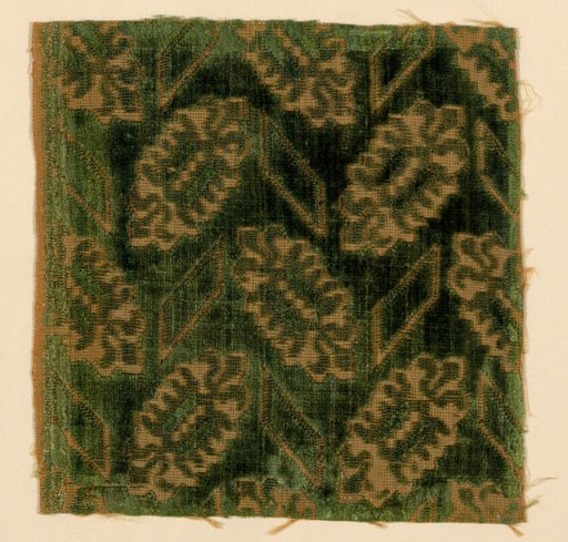 Fragment