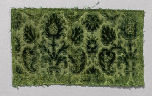Fragment