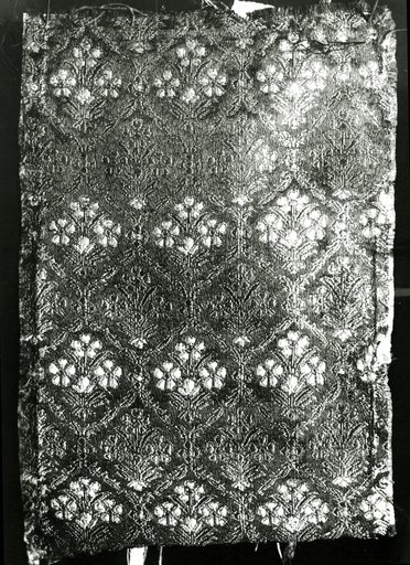 Fragment (Dress Fabric)
