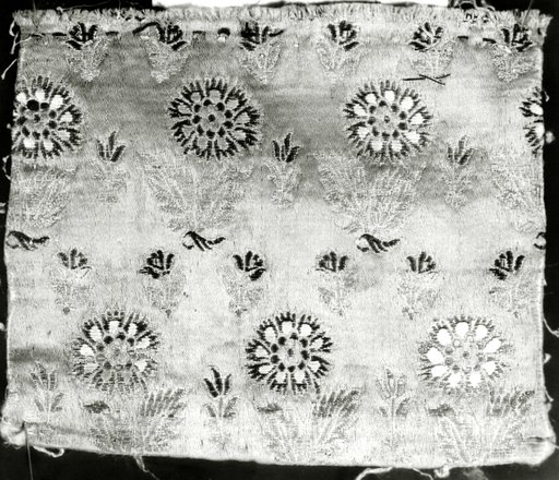 Fragment (Dress Fabric)