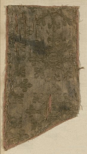 Fragment