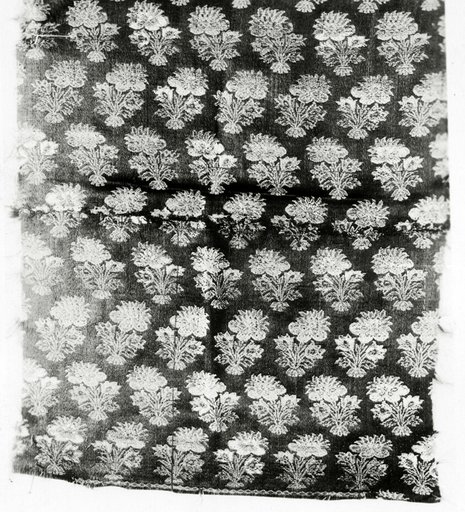 Fragment (Dress Fabric)