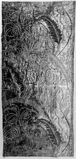 Fragment