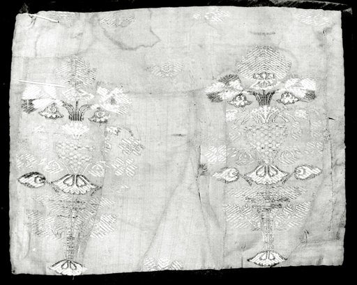 Fragment (Dress Fabric)