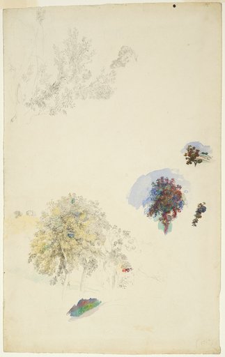 Studies of Trees and Foliage