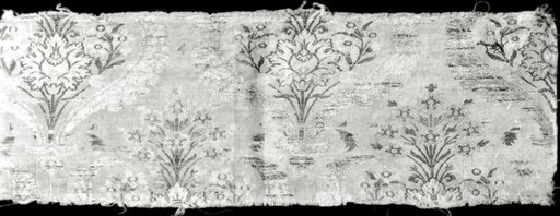 Fragment