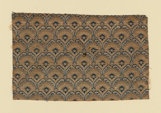 Fragment