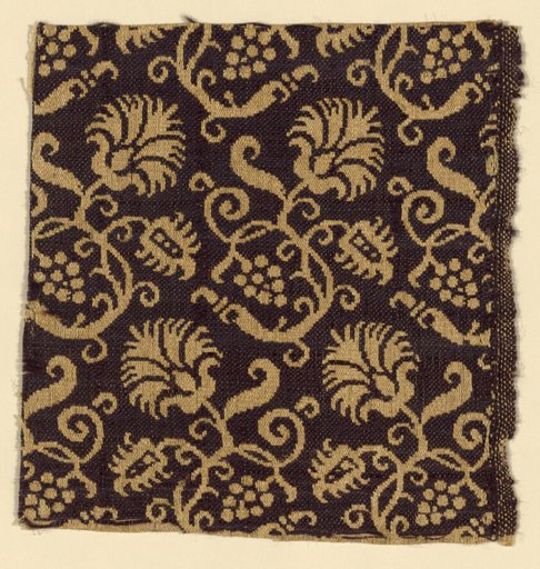 Fragment
