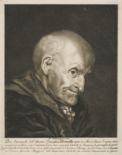 Portrait of Don Emanuel Desvalls