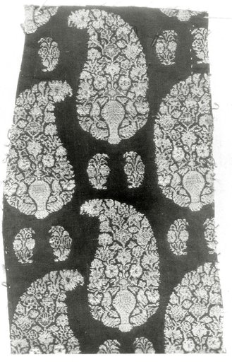 Fragment (Dress Fabric)