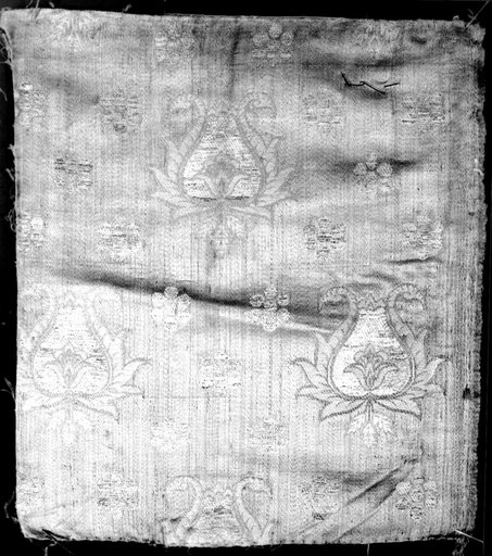 Fragment (Dress Fabric)