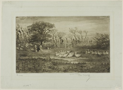 Geese