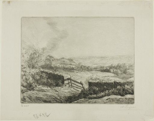 The Meadow Gate