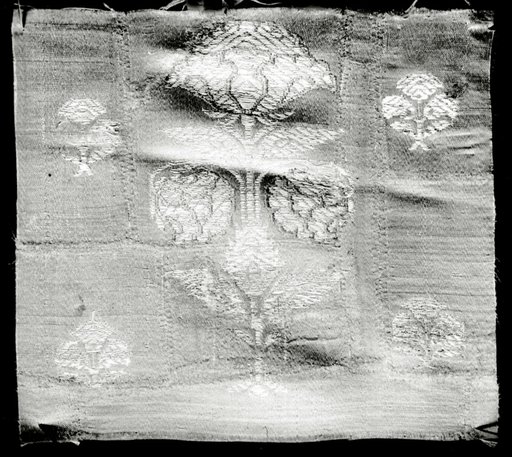 Fragment (Dress Fabric)