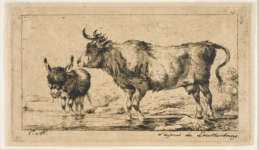 The Cow and Ass