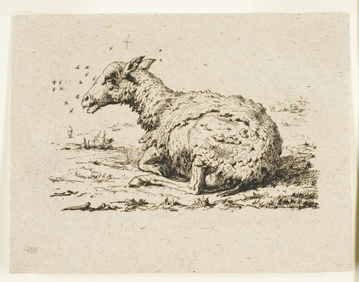 The Sheep and the Flies