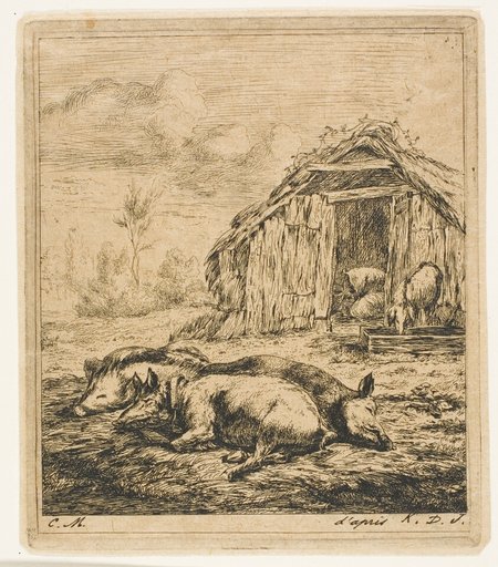 Three Pigs Lying in Front of a Shed