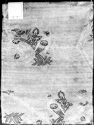 Panel (Dress Fabric)