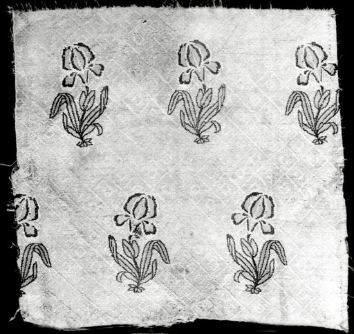 Fragment (Dress Fabric)
