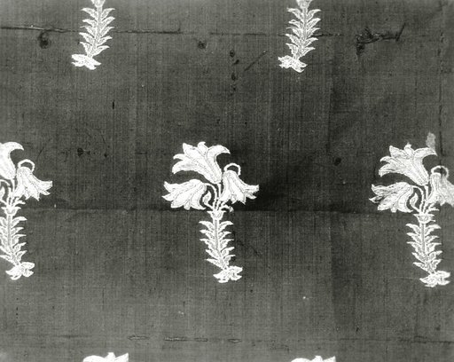 Fragment (Dress Fabric)