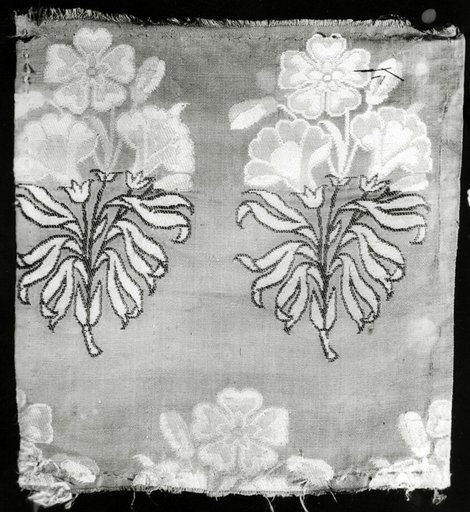 Fragment (Dress Fabric)