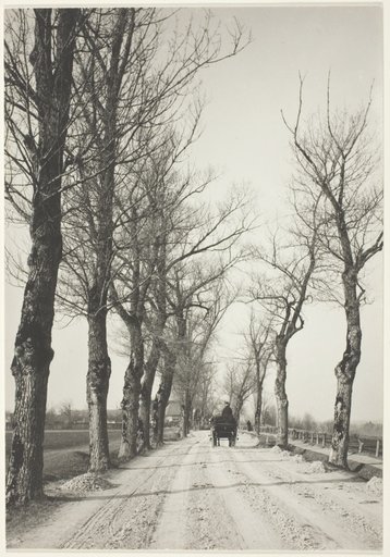 November Days
