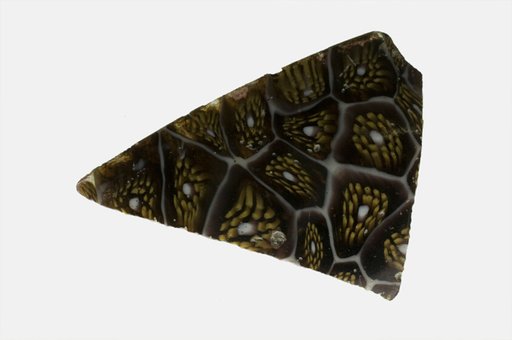 Fragment of a Bowl