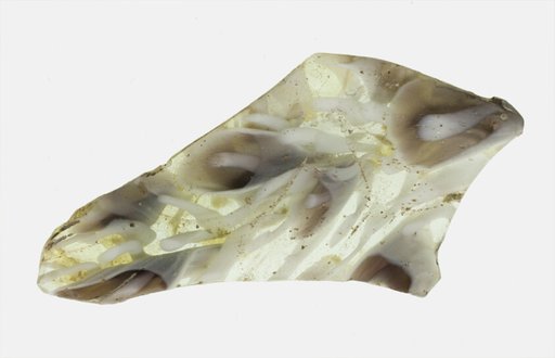 Bowl Fragment