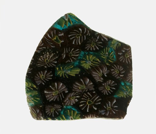 Fragment of a Plate