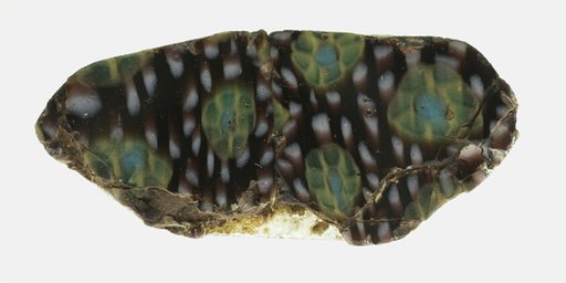 Fragment of a Revetment