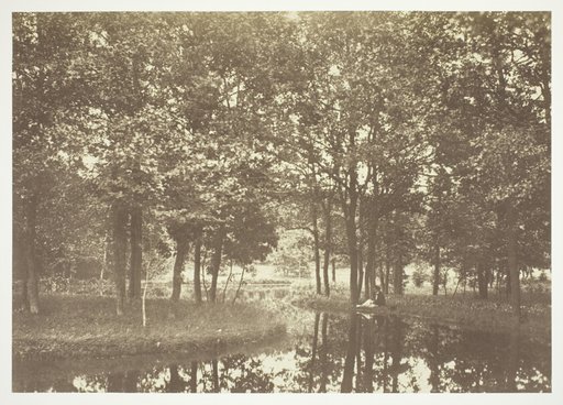 Untitled, from the series "Bois de Boulogne"