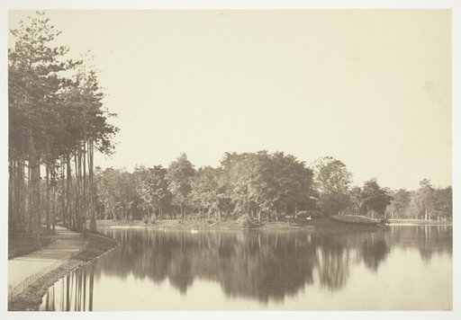 Untitled, from the series "Bois de Boulogne"
