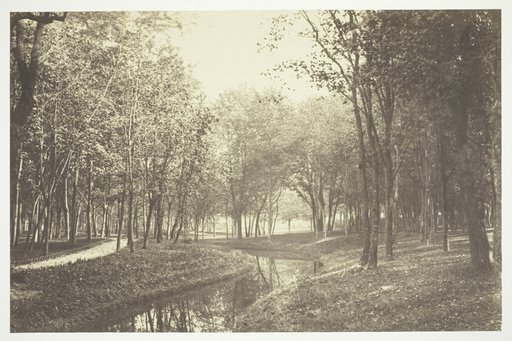 Untitled, from the series Bois de Boulogne"