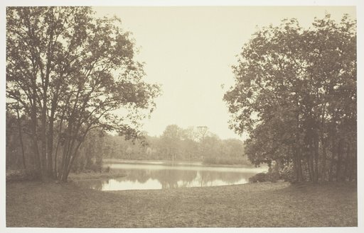 Untitled, from the series "Bois de Boulogne"