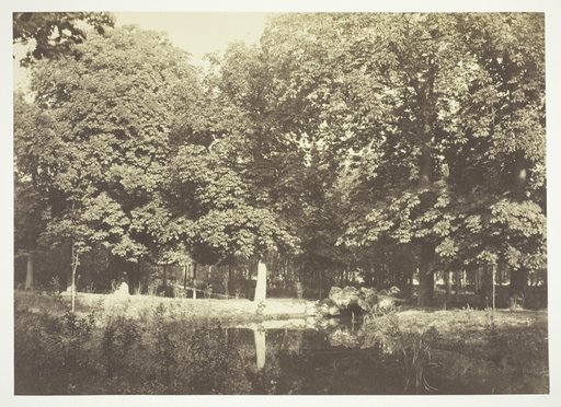 Untitledprint, from the series "Bois de Boulogne"