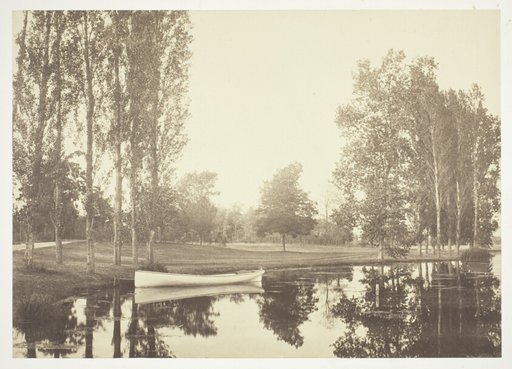 Untitled, from the series "Bois de Boulogne"