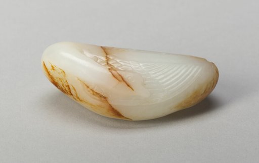 Swan